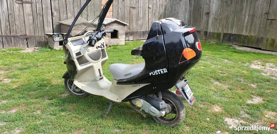 Kingway Poster Cienia