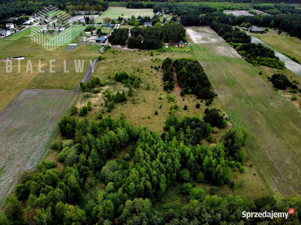 sprzedaży działki Nowe Borsuki 1200m2 asfalt