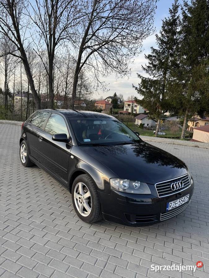 Audi A3 8P 16 MPI 102 Rzeszów