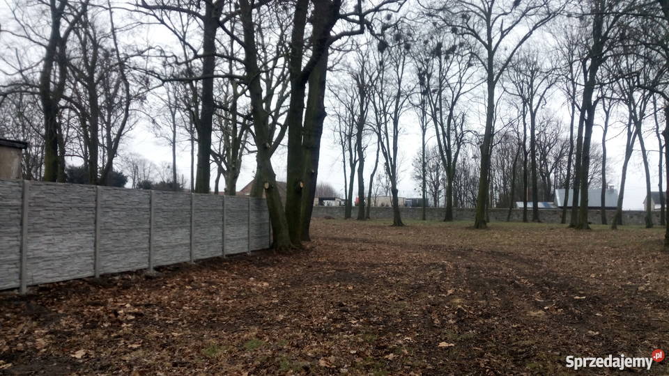 Sprzedam pałac z projektem na dom seniora SPA Krzywiczyny