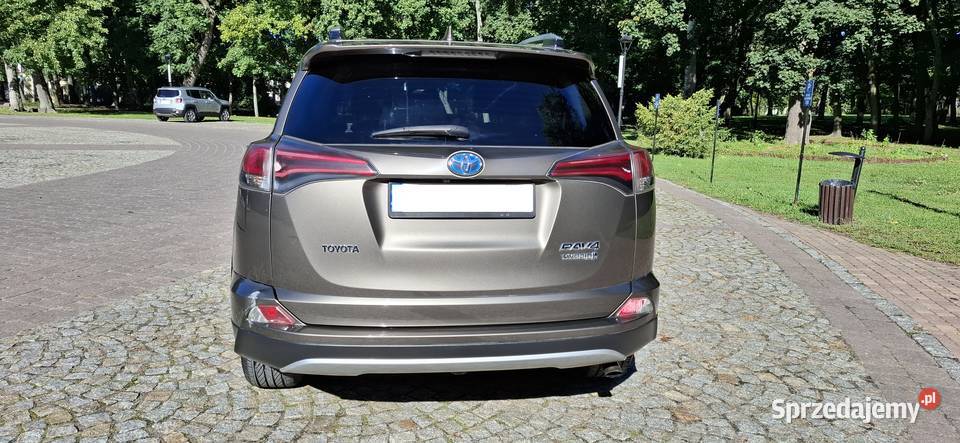 Toyota RAV4 25 4x4 Hybrid Chrośla sprzedam