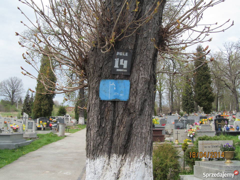 Grobowiec Inne Nowa Ruda sprzedam