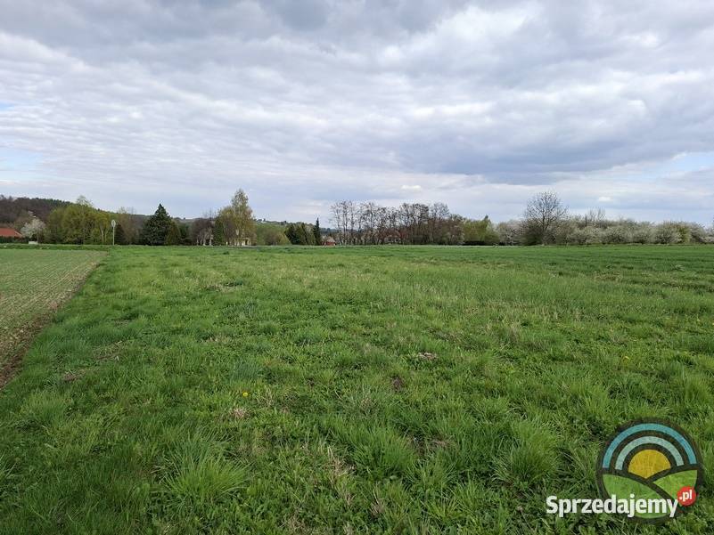 Bolechowice gm Zabierzów działka budowlanorolna Sprzedaż