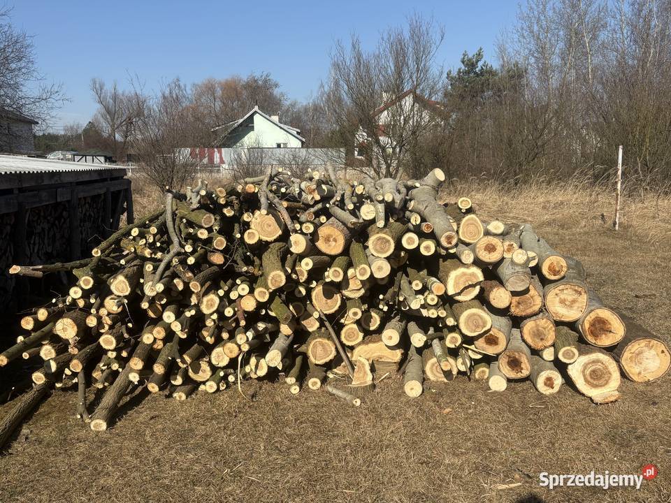 Sprzedam drewno opałowe akacja topola Płock