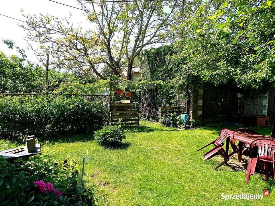 Dom Rodziny na Zielonej Działce OKAZJA ogródek Sprzedaż Turza Mała