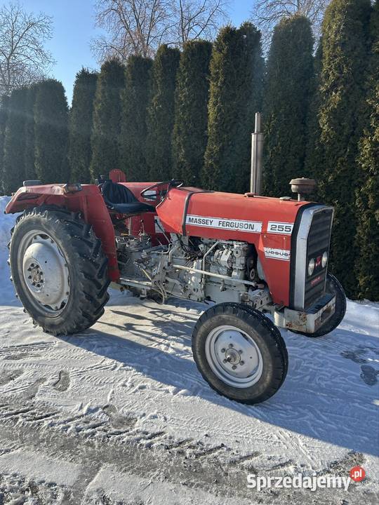Massey Ferguson 255 Ursus 3512 MF 255 Massey Ferguson Chodel