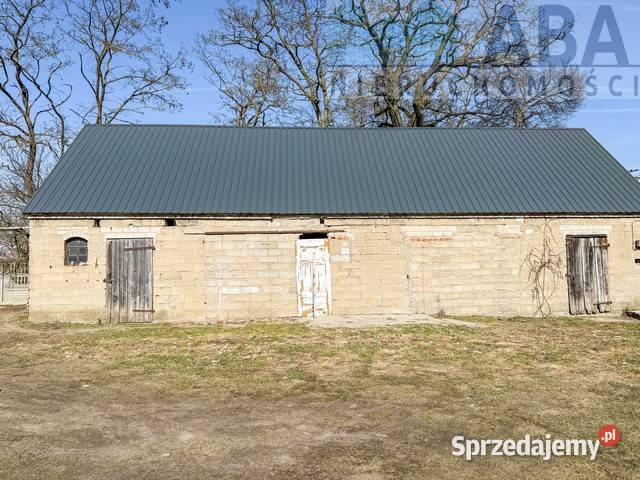 Dom wolnostojący z dużą działką 5673 m budynki Domy Brzeźniak