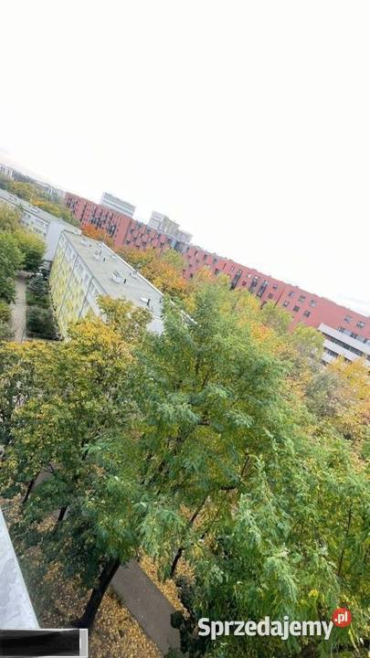 2pok 42met Białowieskiej BALKONPIWNICAWINDA Liczba pokoi 2 Mieszkania dolnośląskie Wrocław