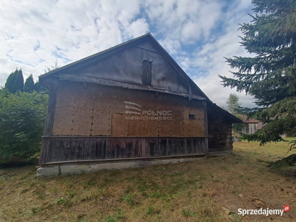 Dom z działka z potencjałem w Dobryniu Dużym drewno Sprzedaż Dobryń Duży sprzedam