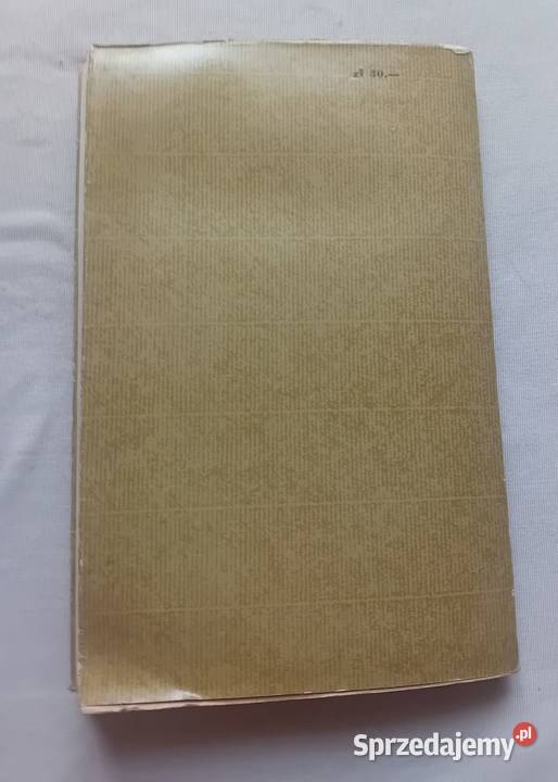 Zdzisław Sułek Polacy w wojnie o niepodległość Koźminek