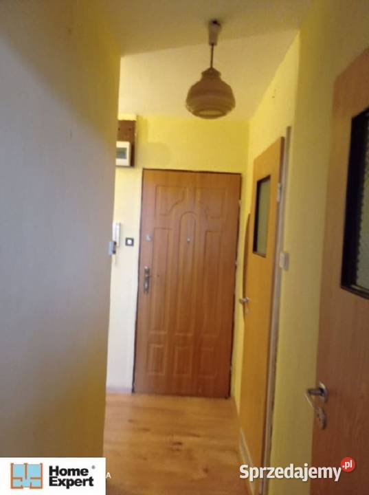 2pok 52met Orzechowej WINDAROZKŁADPIWNICA Sprzedaż Wrocław