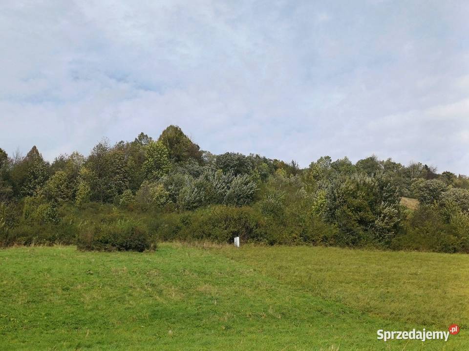 Działka budowlana w Bieszczadach w miejscowości podkarpackie Baligród