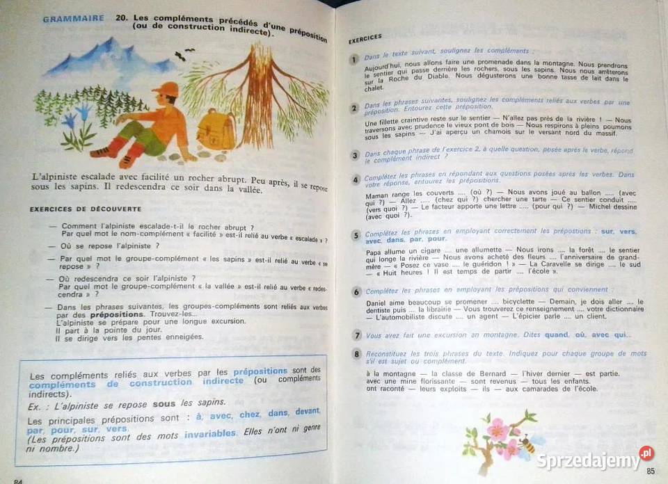 Grammaire pour Ecrire et Parler P Delpierre F Pozostałe Chełm