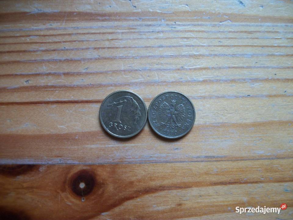 1 grosz 1990 Przemyśl