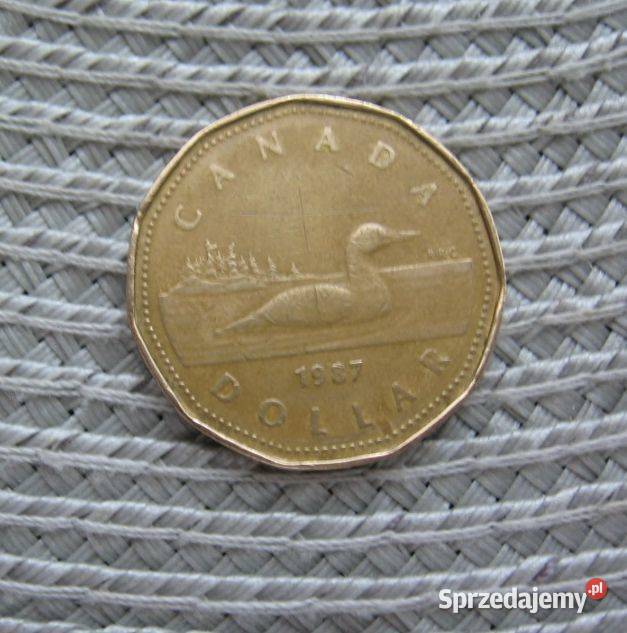Kanada 1 Dolar 1987r Antyki, Sztuka, Kolekcje Kalisz