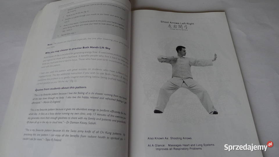 SANTER Shaolin Chi Kung 18 Exercises RARE Luohan Radom