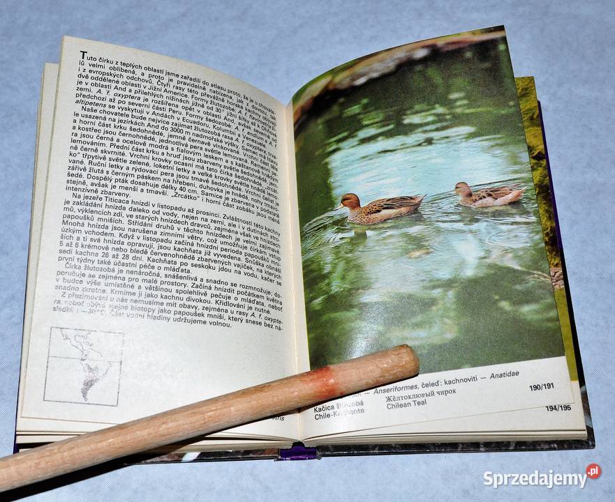 Atlas okrasnych ptaku atlas ptaków ozdobnych mazowieckie