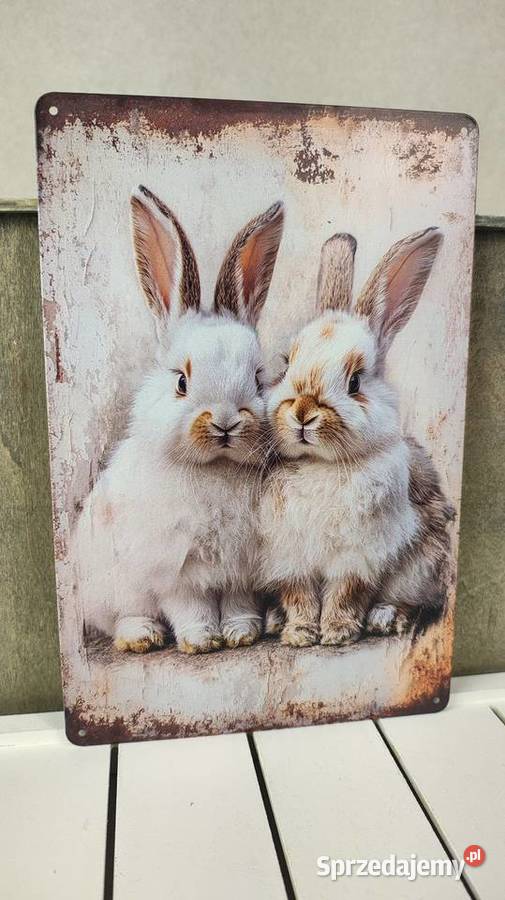 Tabliczka metalowa Łódź sprzedam