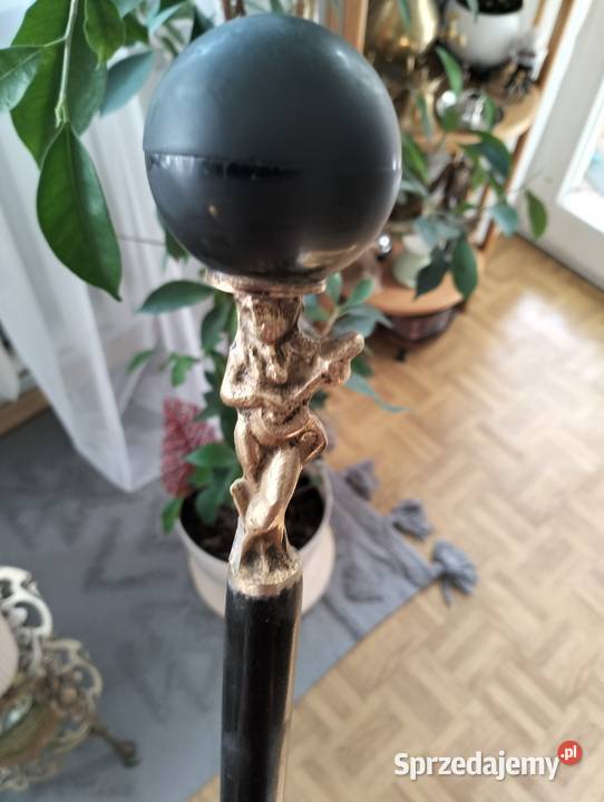 kolekcja starych lasek