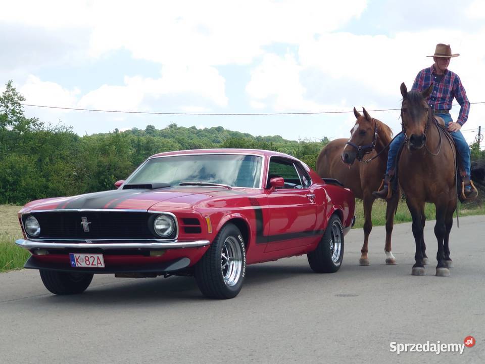 1970 Mustang Boss 302 sprzedam