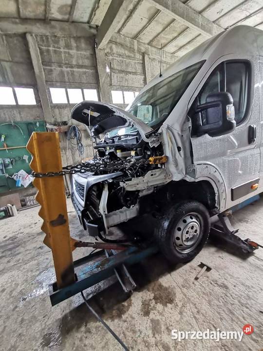 Docer dozer blacharski Pozostałe podkarpackie Przeworsk