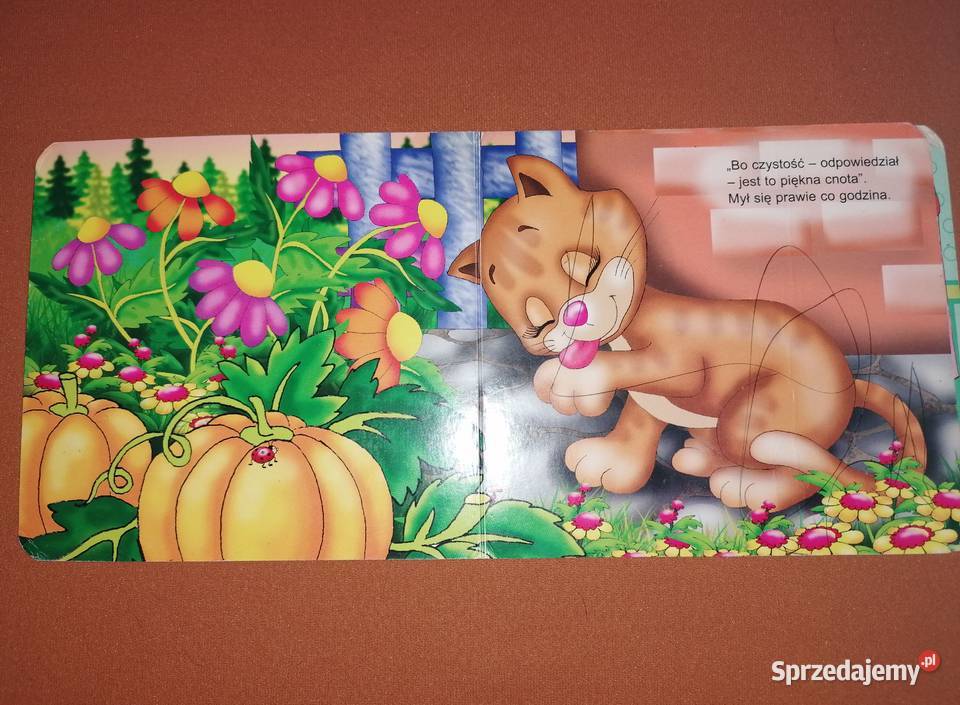 Książeczki dzieci twarde stronyZwierzęta Książki dla dzieci Łódź sprzedam