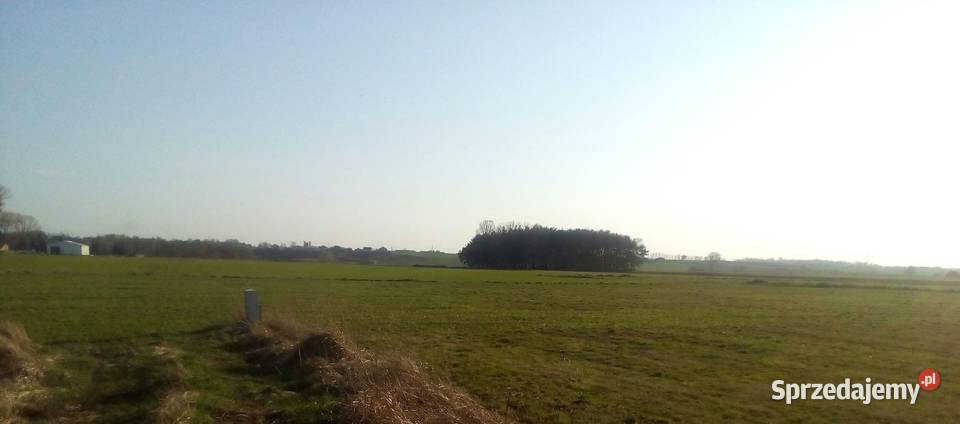 Działka budowlanoinwestycyjna 1900m kw 105zł/m2 Sprzedaż wielkopolskie Wronki