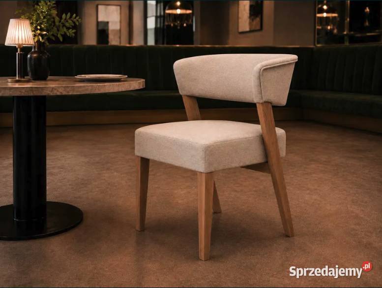 Krzesło 850 do domu jadalni restauracji lokalu Bytom