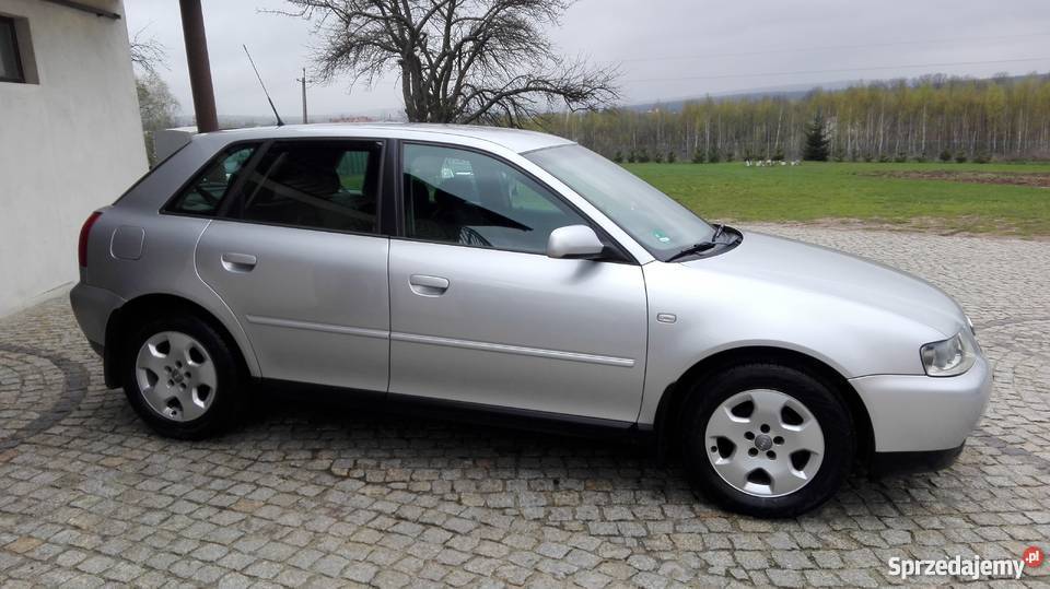Audi A3 16 benzyna 2001 137000 Climatronik Skarżysko-Kamienna
