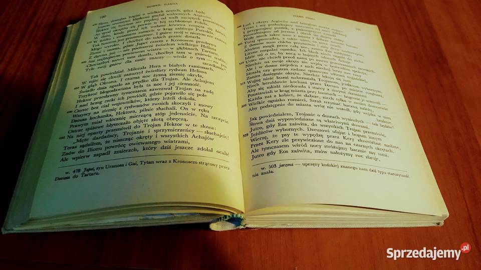 Iliada Homer Biblioteka Narodowa Seria 2 17
