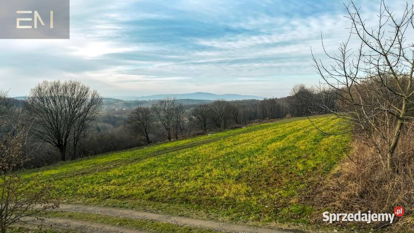 Działka 4300m Gogołów