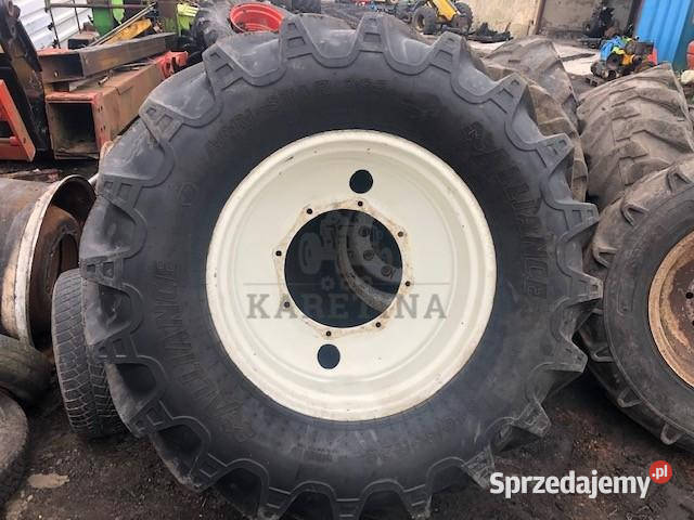Opona Aliance 54065 R28 Jastrzębniki