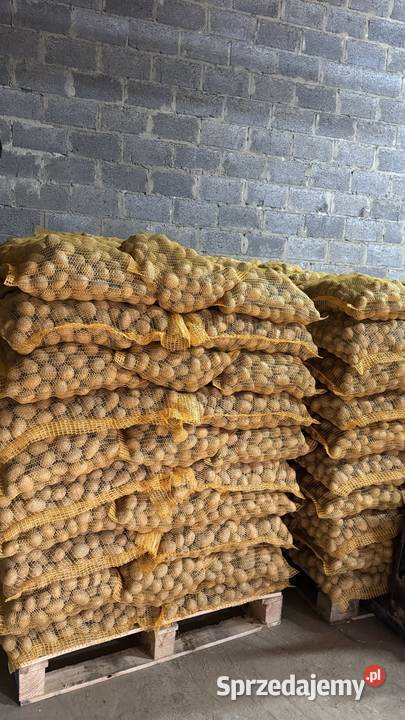 Ziemniaki kalibru 4050 małopolskie Sułoszowa sprzedam