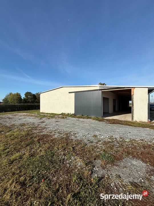 Magazyn 1000 m do wynajęcia Duża działka sprzedam