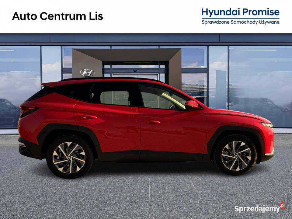 Salon Polska Autoryzowany dealer Smart Manual16 Kalisz sprzedam