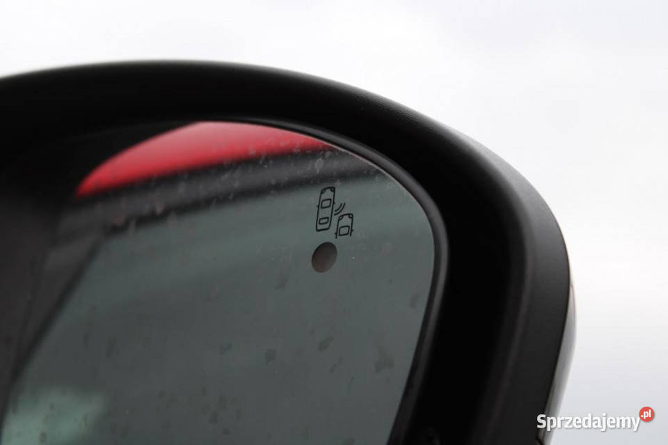 Renault Arkana 2022r ACC Blis Kamera Bose Gdańsk