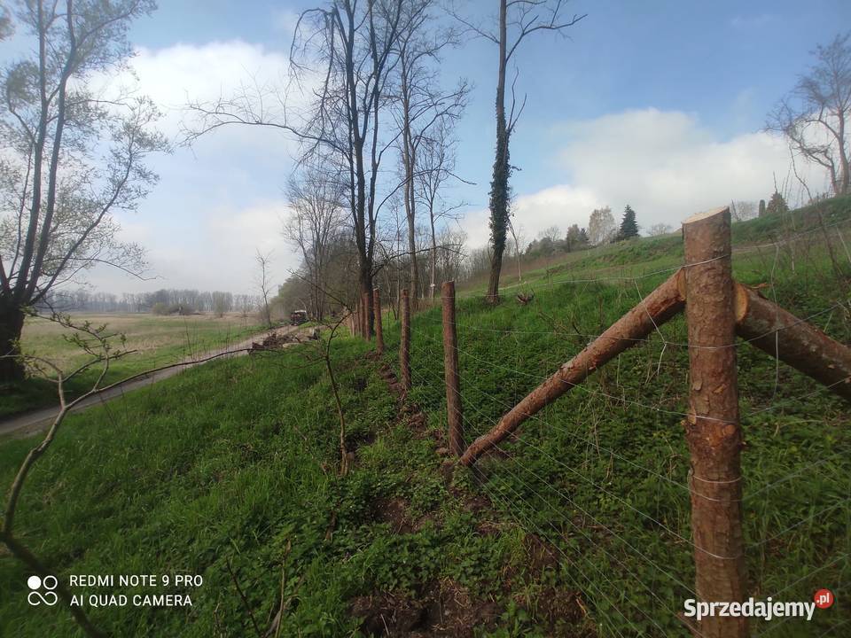 Siatka leśna Ogrodzenie tymczasowe Ogrodzenie Zielona Góra