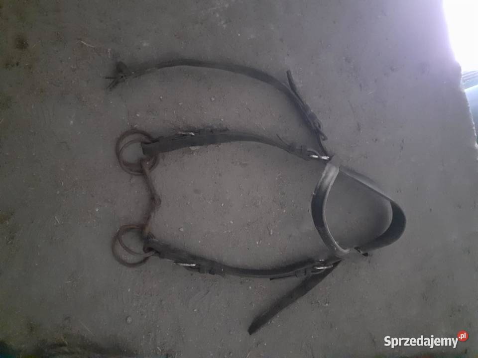 Uprzaz konia Stary Gózd