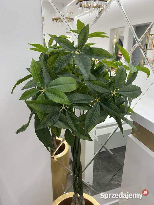 Sztuczne drzewko pachira w doniczce 120 Golkowice