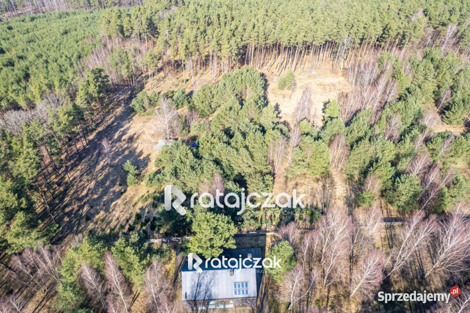 Grunt na sprzedaż 9751m2 Sasino Stara Cegielnia 2216m2