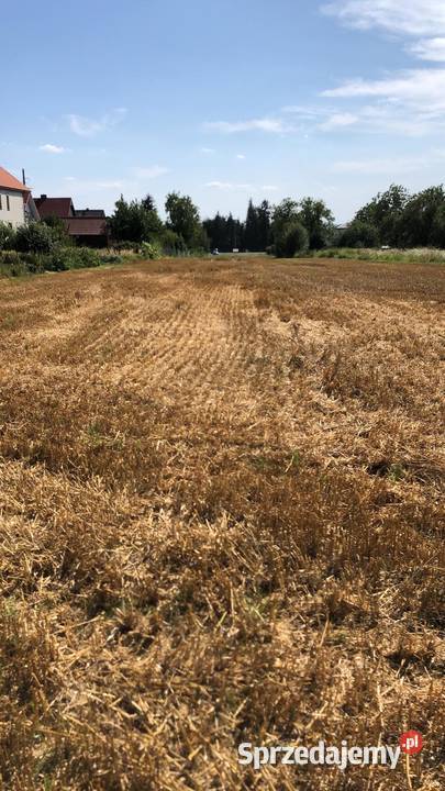 Działki budowlane Zamość Lwowska