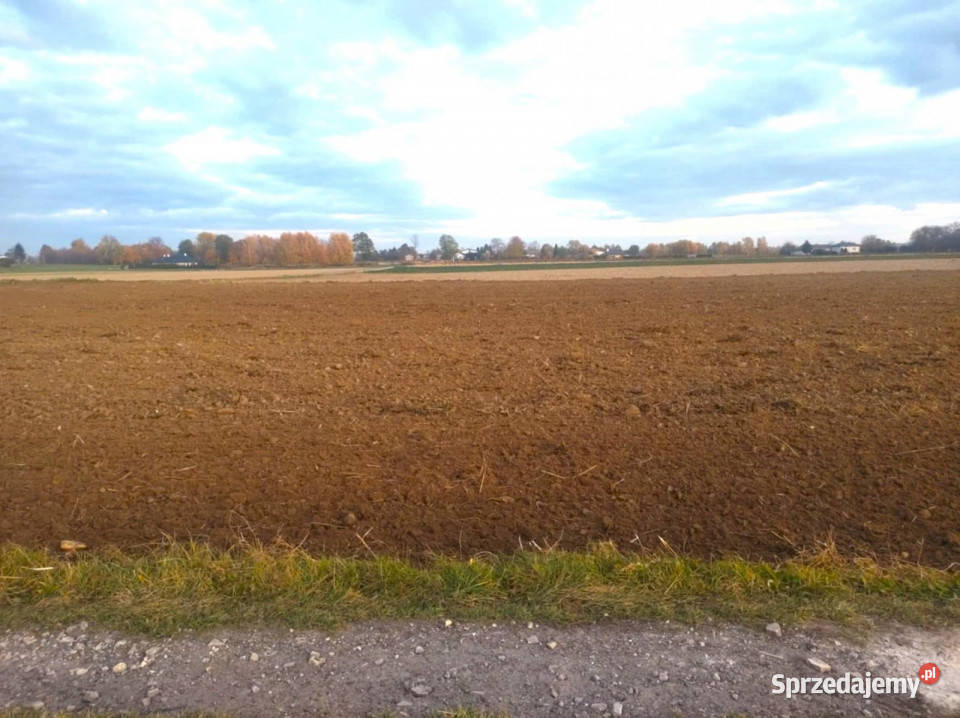 Działka Palikije Drugie 1800m2