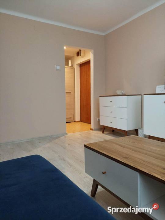 Wynajmę mieszkanie dwupokojowe 36m2 Odonów koło Kazimierza Wielka