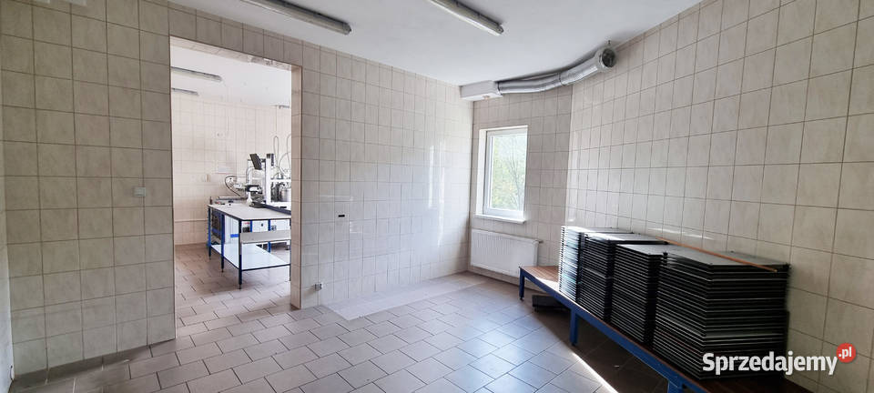 Budynek mieszkalny biuro i produkcja 2514zł/m2