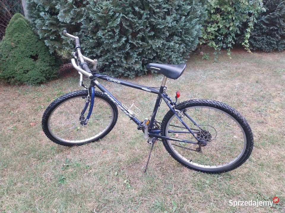 Męski rower koła 26 Stasi Las