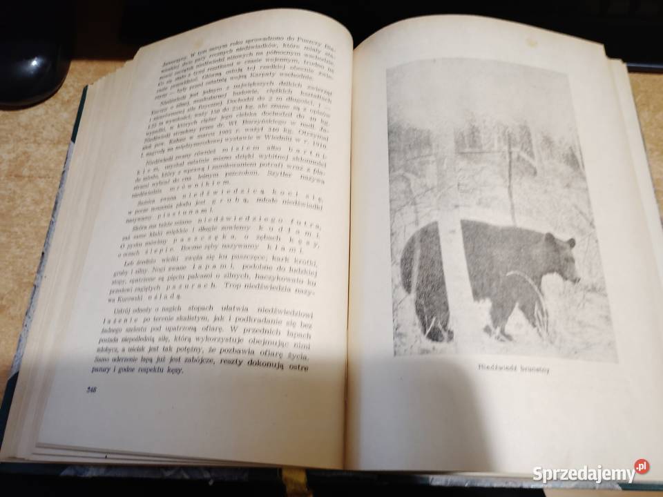 ŁOWIECTWO Podręcznik leśników i myśliwych Iwno