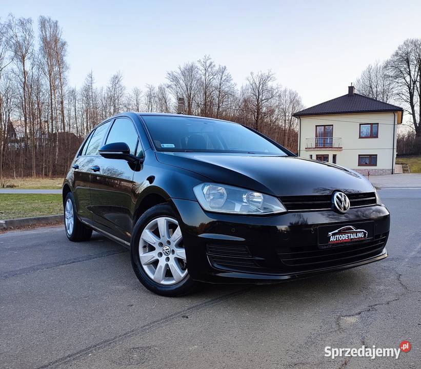 Volkswagen Golf VII 16 TDI bez dwumasy 90 2013 Domaradz