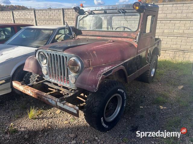 Jeep CJ5 Grojec