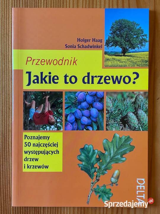 Jakie to drzewo Przewodnik Holger Haag Sonia dom i ogród Osięciny