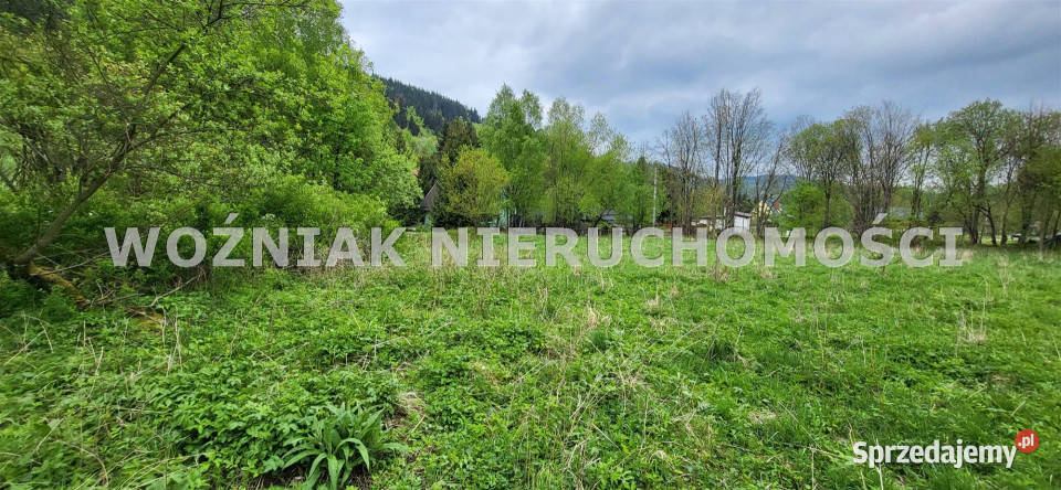 Działka 4100m2 Rzeczka Sprzedaż dolnośląskie